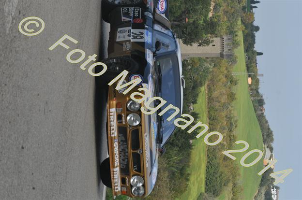 DSC_3134.JPG